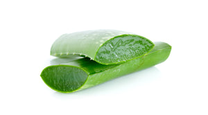 Aloe Leaf Benefits