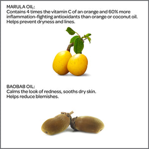 Marula and Baobab Oil Ingredient Benefits Erthecode Face Oil