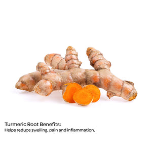 Erthecode Turmeric Root Benefits